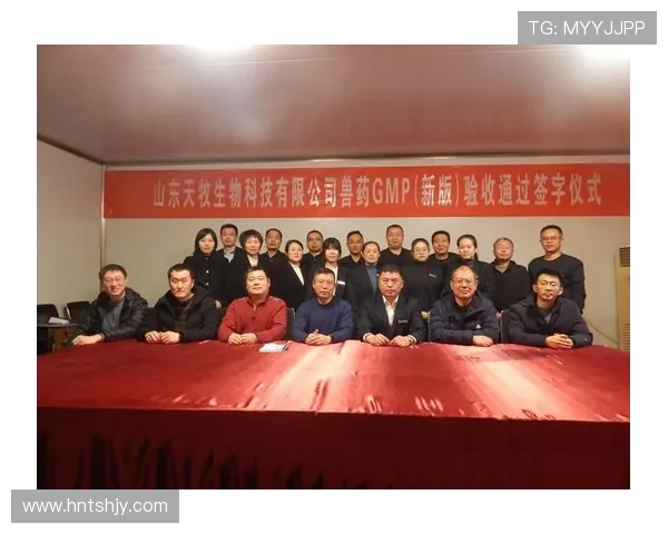 武汉羽毛球队的崛起之路洲际杯背后的奋斗与荣耀